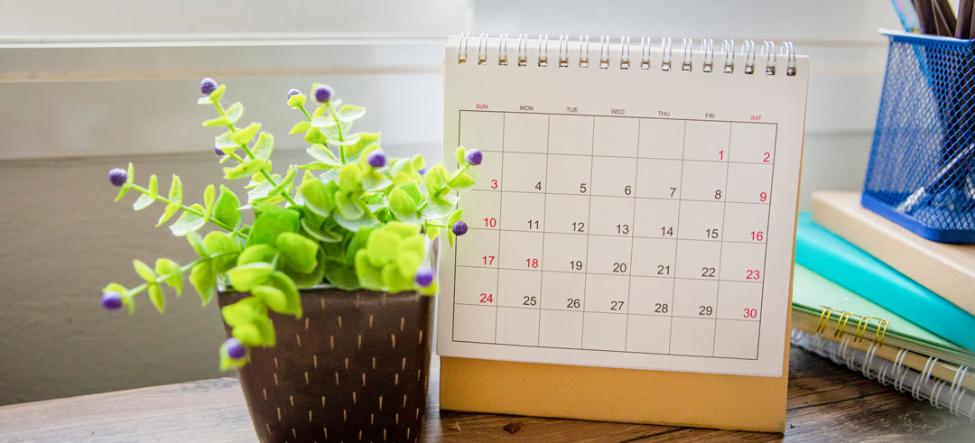 Una planta junto a un calendario